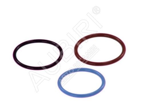 Injector seals set, Iveco Cursor