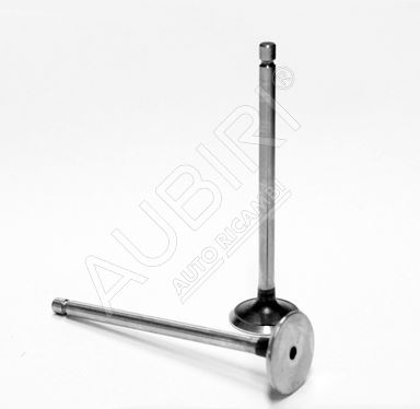 Exhaust valve Iveco EuroCargo 8060.45