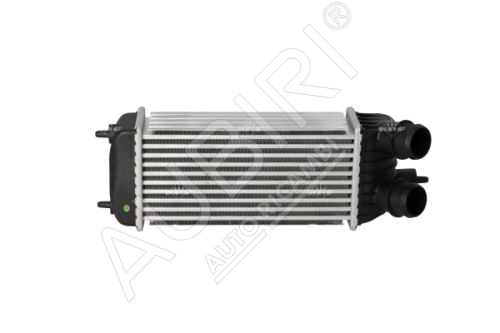 Intercooler Fiat Scudo 2007-2011 1.6D Euro4