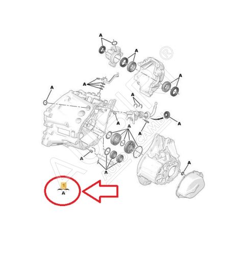 Gearbox repair kit Citroën Berlingo, Partner since 2020 - BE4R