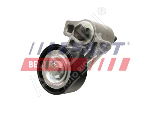 Tensioner pulley Fiat Scudo, Citroën Jumpy, Peugeot Expert 1995-2006 1.9D