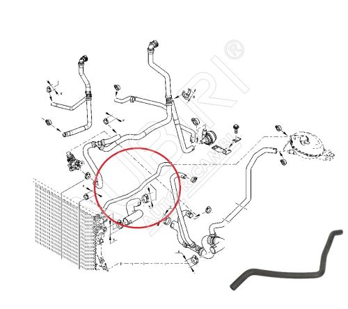 Radiator hose Renault Master since 2010 2.3 dCi