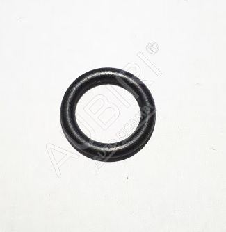 O-ring Iveco