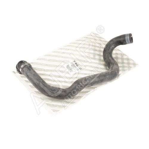 Water radiator hose Fiat Ducato since 2006 3.0 JTD 103KW - lower