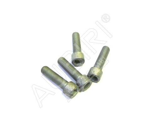 Brake Caliper Bolt Iveco EuroCargo 75E, set