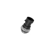 Thermoswitch Fiat Ducato 230 (1)