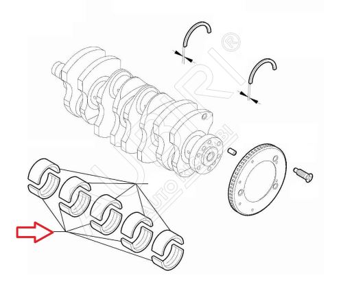 Main crank bearing Fiat Ducato since 2021 2.2D 1.832-1.836 lower, blue