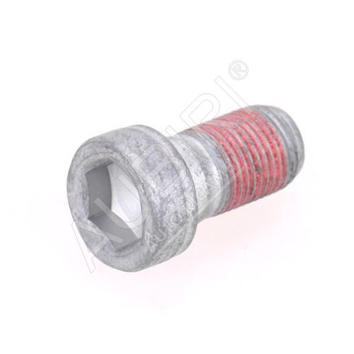 Brake Caliper Bolt Fiat Ducato since 1994 rear caliper M16x29