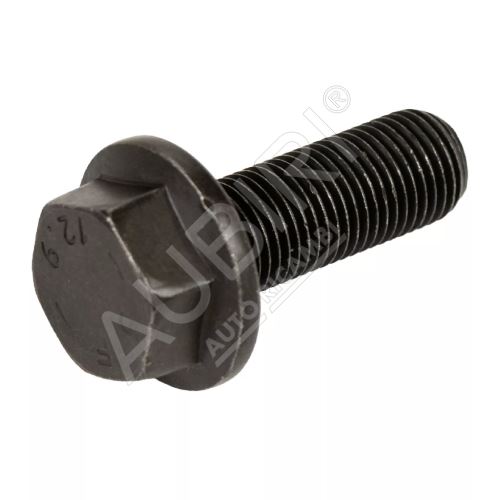 Camshaft bolt Iveco Daily, Fiat Ducato 2.3 M12x1.25x35