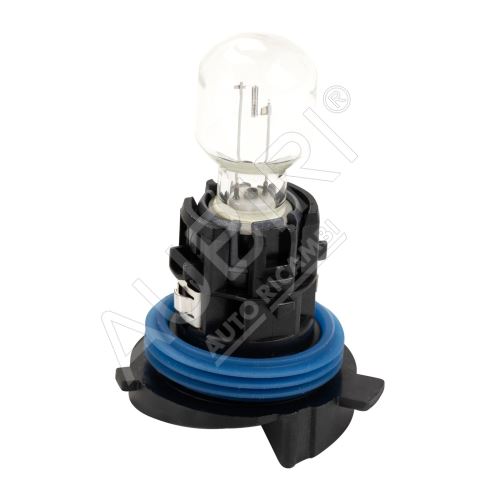 Daylight bulb HP24W