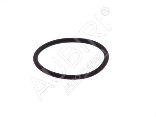 Engine flange O-ring Iveco Daily 2.8