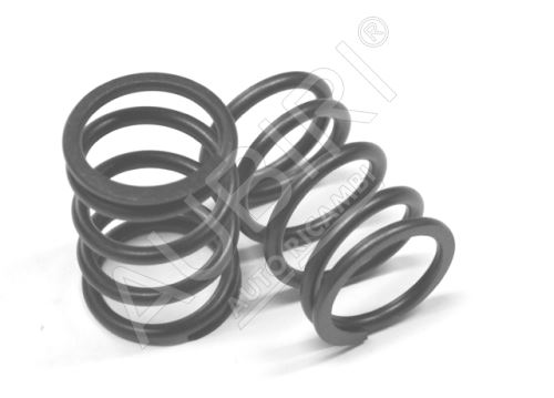 Valve spring Iveco Daily, Fiat Ducato 2.3 + 3.0