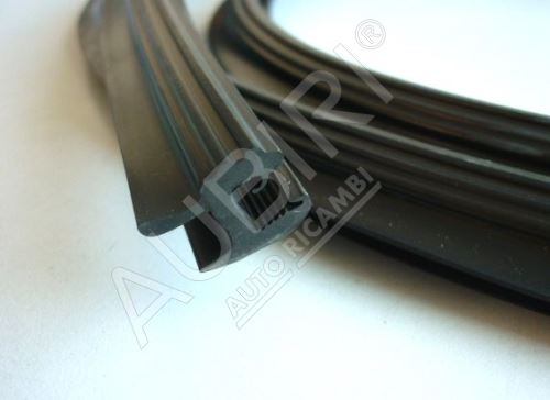 Windscreen gasket Iveco Daily