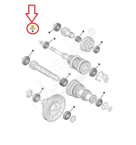 Gearbox bearing kit Citroën Berlingo, Peugeot Partner since 2008 1.6D - MC6F