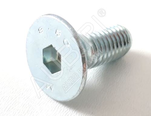 Wheel reduction cover bolt, Iveco Trakker