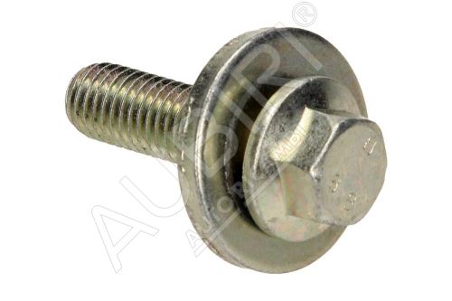 Camshaft gear bolt Ford Transit, Tourneo Connect 2002-2014 1.8 Di/TDCi