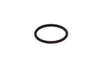 Injector Seal Iveco Daily since 2014