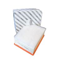Air filter Fiat Ducato, Jumper, Boxer, Movano since 2024 2.2 EVO