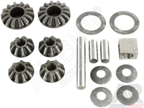 Differential gear Iveco Daily 00 9/14T FI = 215 mm set