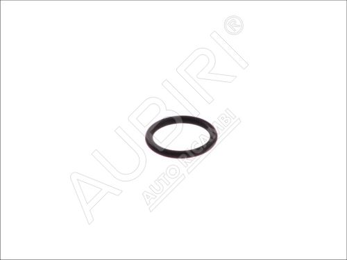 Engine flange O-ring Iveco Daily 2.8