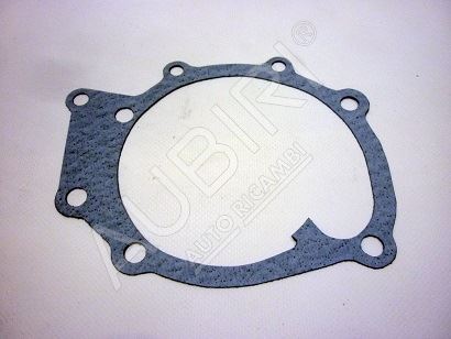 Water pump gasket Iveco EuroCargo 75E14