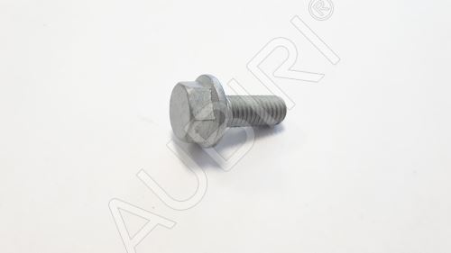 Injection pump screw Iveco Daily 2006-2022 2.3M8x1.25x20mm
