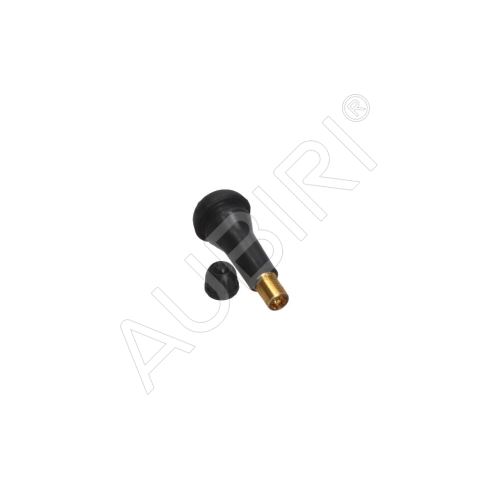 Wheel valve Renault Kangoo since 2021