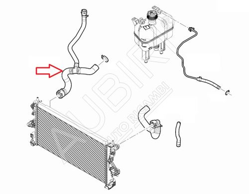 Water radiator hose Fiat Ducato 2014-2016 2.0D right, lower