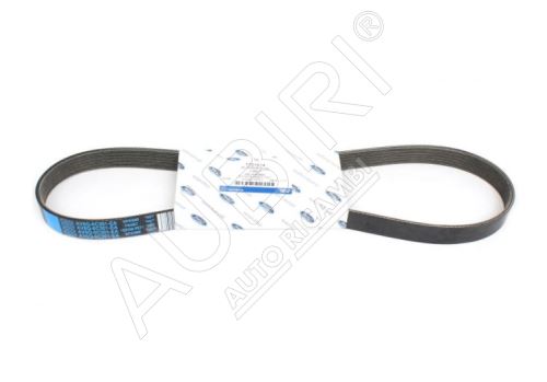 Drive Belt (V-Belt) 6PK962 Ford Transit, Tourneo Connect/Courier 1.5/1.6 TDCi