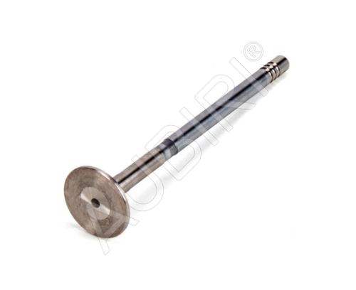 Exhaust valve Citroën Jumpy, Berlingo since 2018 1.5 BlueHDi