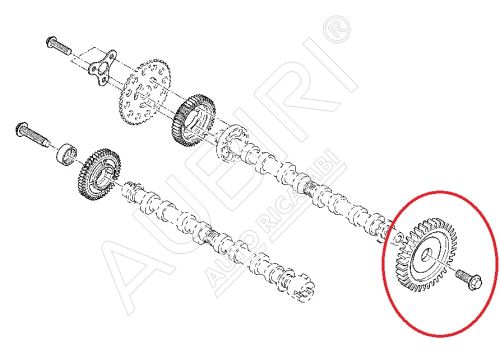 Camshaft gear Renault Master 2.3 exhaust cam