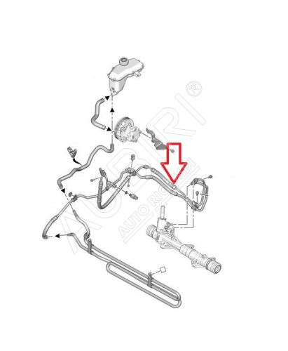 Power steering hose Citroën Berlingo, Peugeot Partner 2008-2018