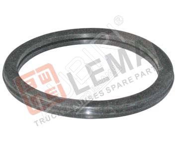 Thermostat gasket, Iveco