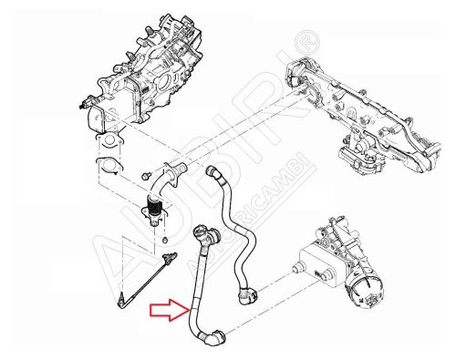 Pipe to EGR valve Fiat Ducato since 2021 2.2D