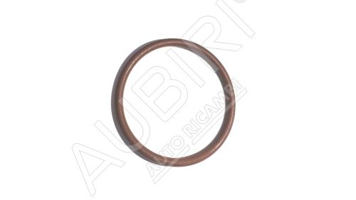 O - ring Iveco Cursor 8 - for the injector case