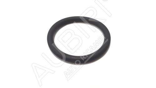 Water pipe gasket Iveco Daily 2.3