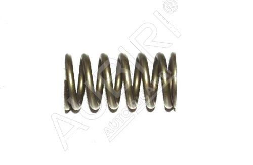 Valve spring Fiat Ducato 2011-14-/Doblo 2010-15- 2.0 MTJ