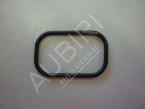 Fuel pump seal Iveco EuroCargo