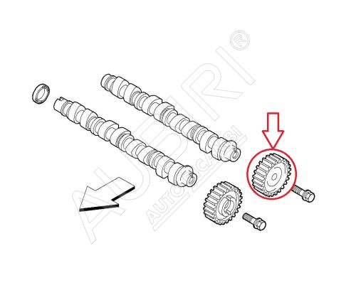 Camshaft gear Fiat Ducato 2011-2016 2.0D, Doblo 2016-2023 1.6D - intake