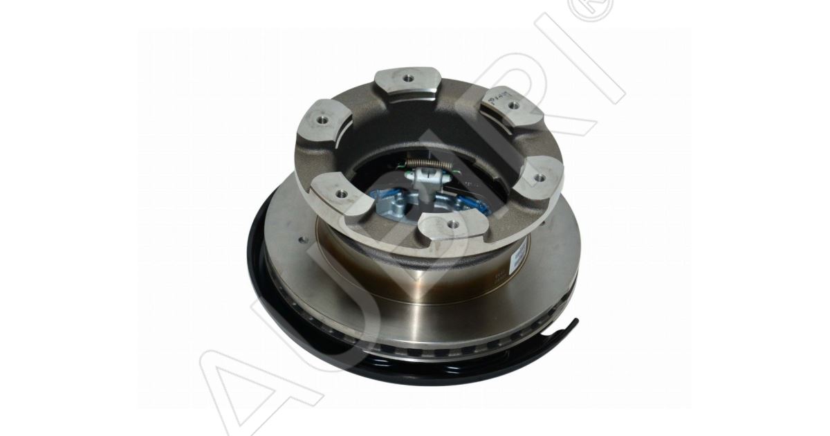 Brake disc Iveco Daily 70C since 2019 rear, right, set for electric ...