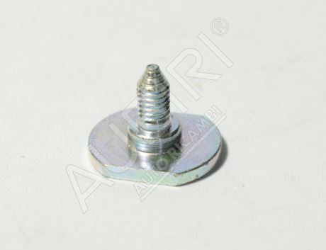 Protective trim bolt Iveco Daily since 2000