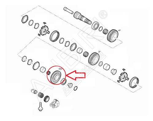 RM gear wheel Fiat Ducato since 2021 2.2D, Doblo 2010-2022 for reverse, 11/44 teeth