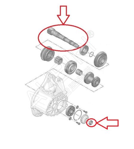 Gearbox shaft Citroën Berlingo, Partner since 2018 secondary, 15/76 teeth