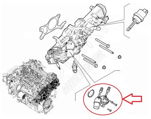 Thermostat Fiat Ducato since 2021 2.2D, Doblo 2016-2022 1.6D