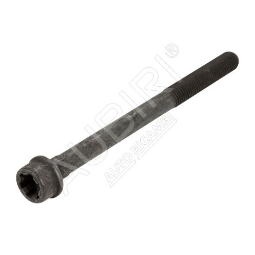 Cylinder head bolt Fiat Doblo 2004-2022, Fiorino since 2007 1.3D, M10x1,25/119 mm