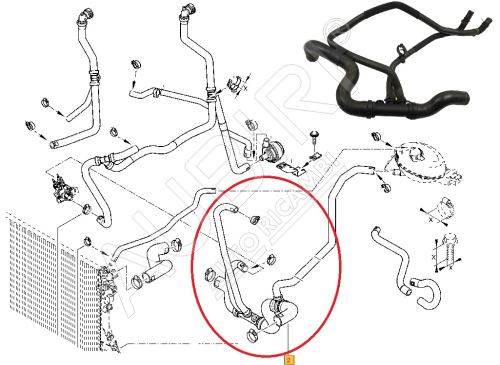 Water radiator hose Renault Master since 2010 2.3 dCi