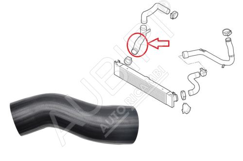 Charger Intake Hose Fiat Ducato since 2006 from intercooler to throttle, solo hose