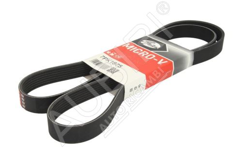 Drive Belt (V-Belt) Renault Master since 2014 2.3D, Trafic, Fiat Talento since 2014 1.6/2.