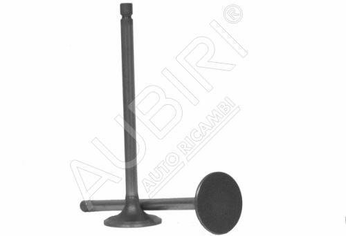 Intake valve Iveco EuroCargo Tector