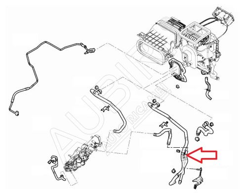 Heater hose Fiat Ducato since 2021 2.2D